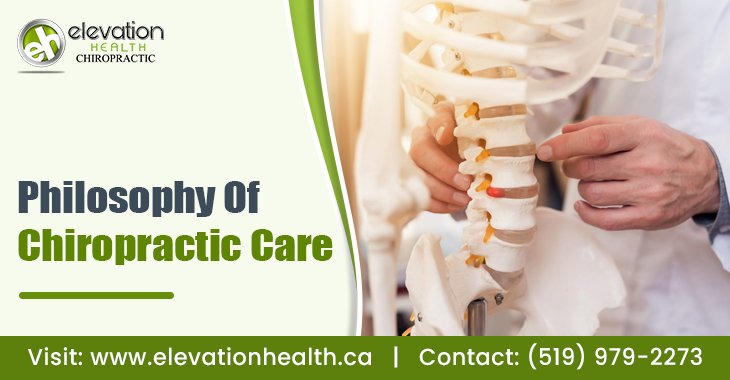 Chiropractic Adjustment Near Me Archives - Elevation Health Chiropractic