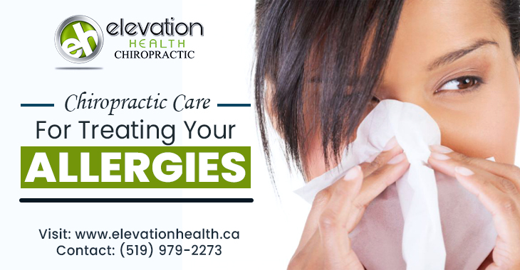 Chiropractic Care For Treating Your Allergies