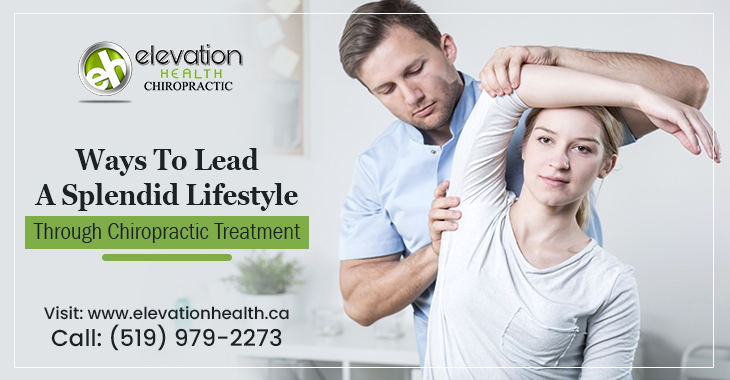 Ways To Lead a Splendid Lifestyle Through Chiropractic Treatment