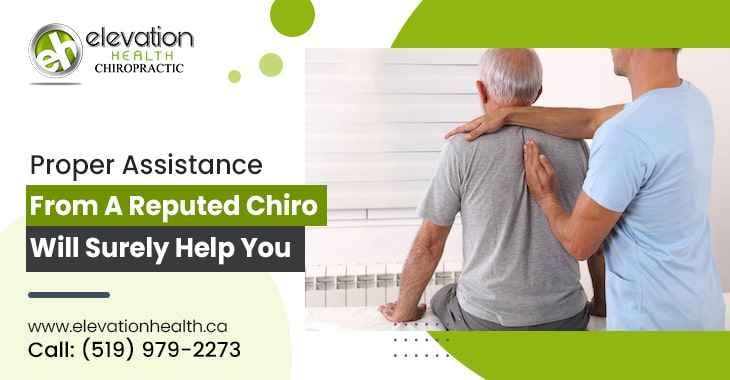 Proper Assistance From A Reputed Chiro Will Surely Help You