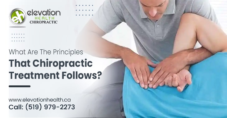 What Are The Principles That Chiropractic Treatment Follows?