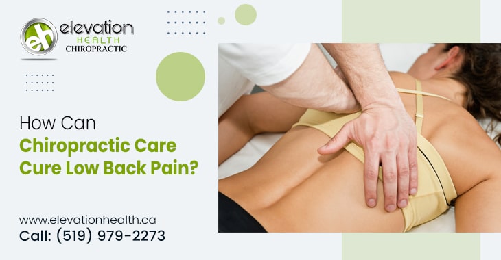 How Can Chiropractic Care Cure Low Back Pain?