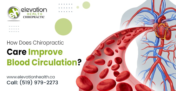 How Does Chiropractic Care Improve Blood Circulation?