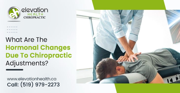 What Are The Hormonal Changes Due To Chiropractic Adjustments?