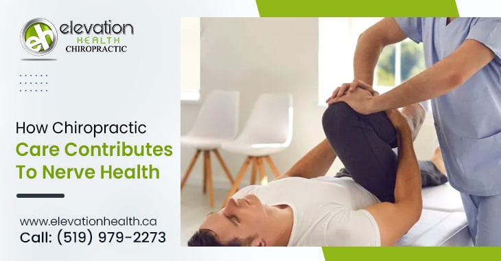 How Chiropractic Care Contributes To Nerve Health