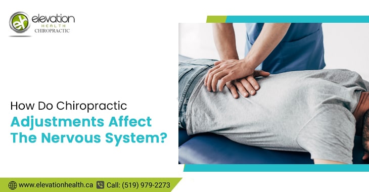 How Do Chiropractic Adjustments Affect The Nervous System?