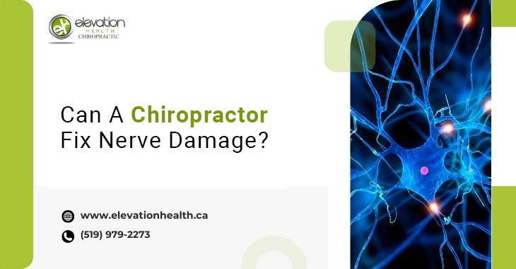 Can A Chiropractor Fix Nerve Damage?
